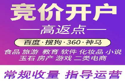 百度竞价公司案例分析：优化策略全解析